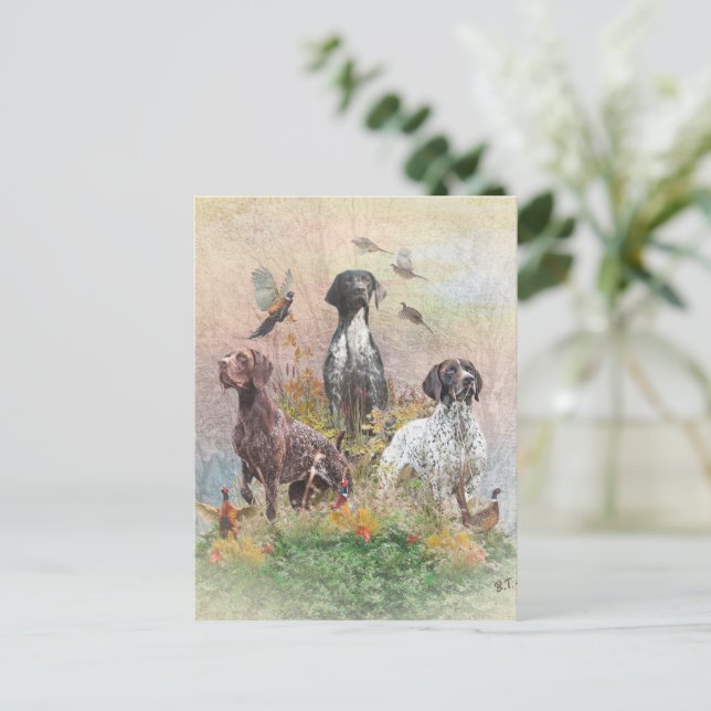 German Shorthaired Pointers (GSP), a hunting pheas Postcard (Standing Front)