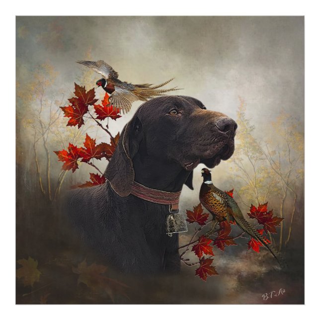 German Shorthaired Pointers (GSP)       Photo Print (Front)