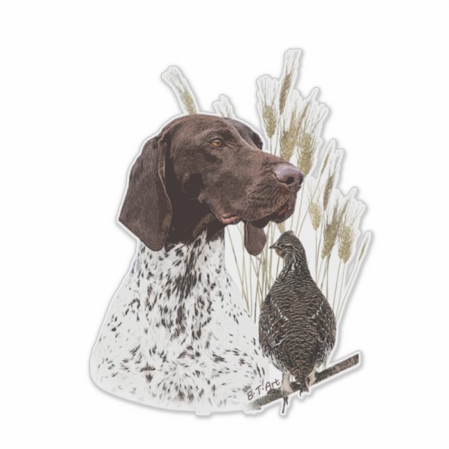 German Shorthaired Pointers (GSP) Postcard Coffee  (Front)