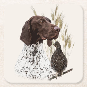 German Shorthaired Pointers (GSP) Postcard Coffee  Square Paper Coaster