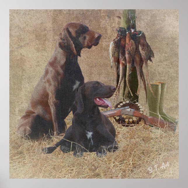 German Shorthaired Pointers (GSP) Poster (Front)