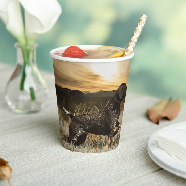 German Shorthaired Pointers  Paper Cups (Insitu)