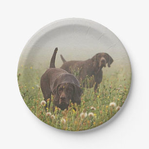 German Shorthaired Pointers Paper Plate
