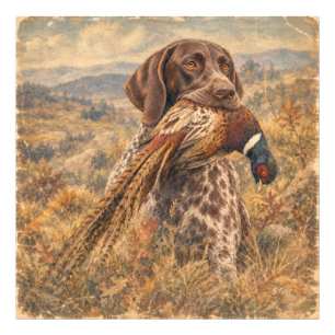 German Shorthaired Pointers Photo Print
