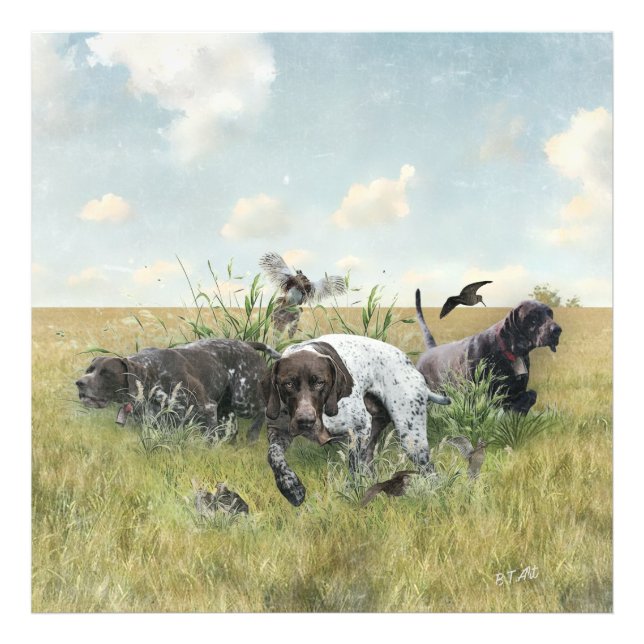 German Shorthaired Pointers  Photo Print (Front)