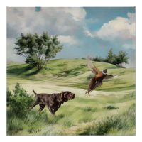 German Shorthaired Pointers