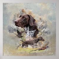 German Shorthaired Pointers 