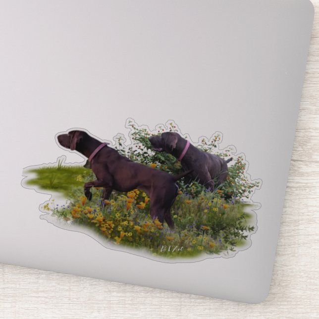 German Shorthaired Pointers   Sticker (Detail)