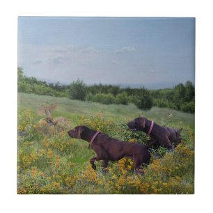 German Shorthaired Pointers Tile