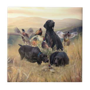 German Shorthaired Pointers Tile