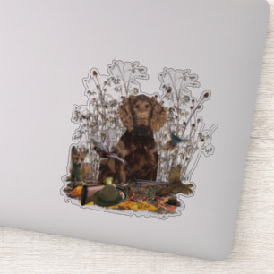 German Spaniel, Wachtelhund     