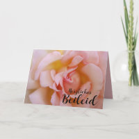 German Sympathy Pink rose