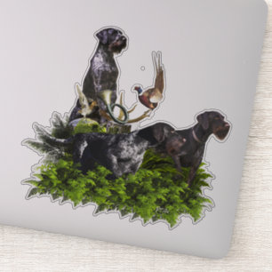  German Wirehaired Pointer    