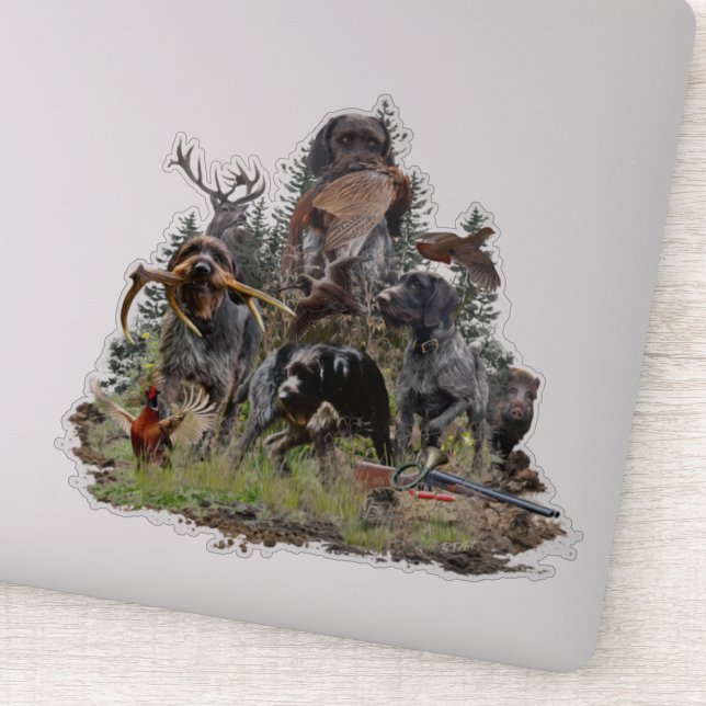 German Wirehaired Pointer       (Detail)
