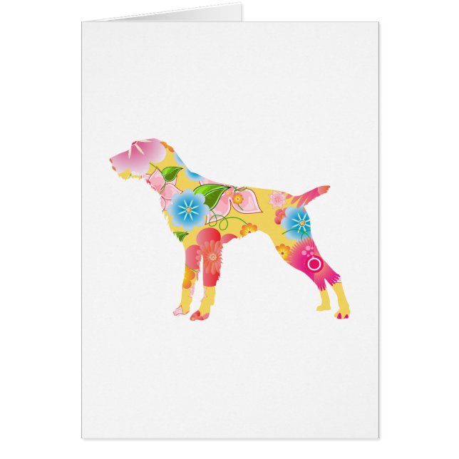 German Wirehaired Pointer (Front)