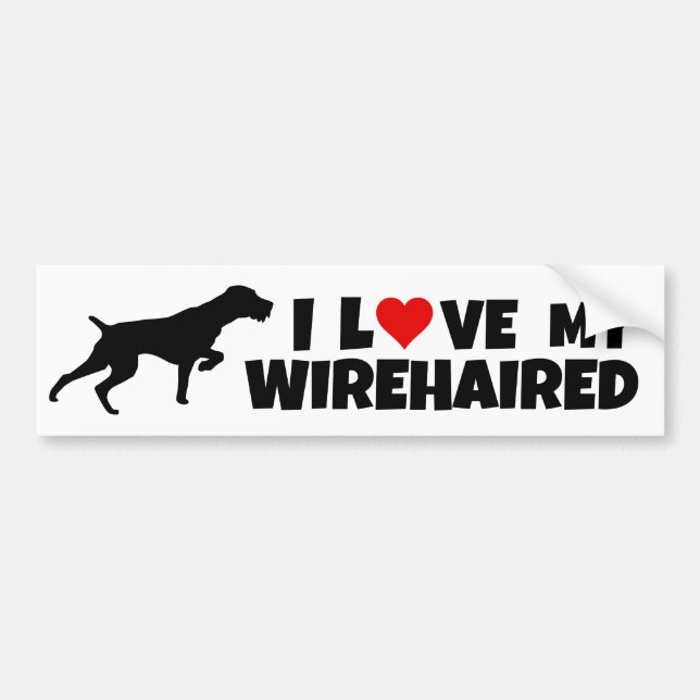 German Wirehaired Pointer Bumper Sticker (Front)
