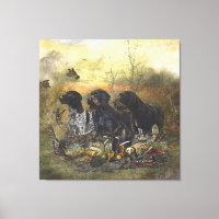 German Wirehaired Pointer