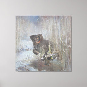 German Wirehaired Pointer Canvas Print