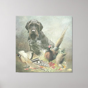 German Wirehaired Pointer Canvas Print