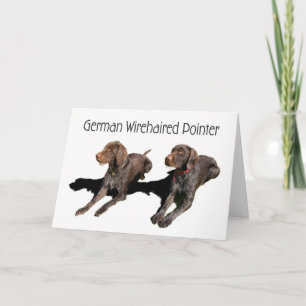 German Wirehaired Pointer Card