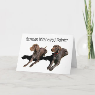 German Wirehaired Pointer Card