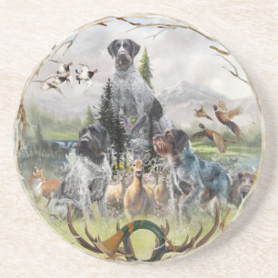 German Wirehaired Pointer Coaster