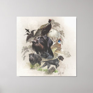 German Wirehaired Pointer , Continental pointing Canvas Print