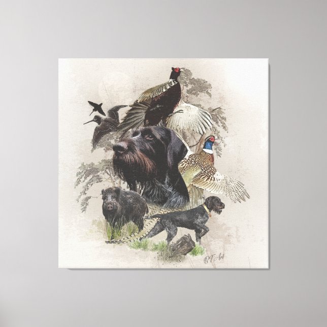 German Wirehaired Pointer  , Continental pointing  Canvas Print (Front)