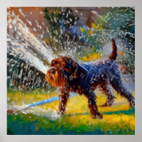 German Wirehaired Pointer Dog