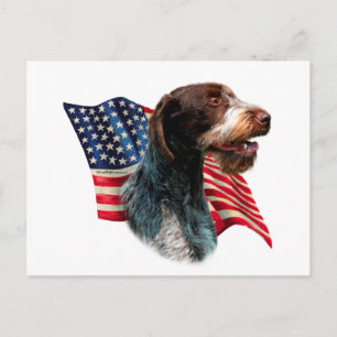 German Wirehaired Pointer Flag Postcard