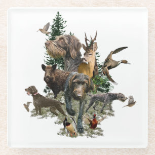 German Wirehaired Pointer Glass Coaster