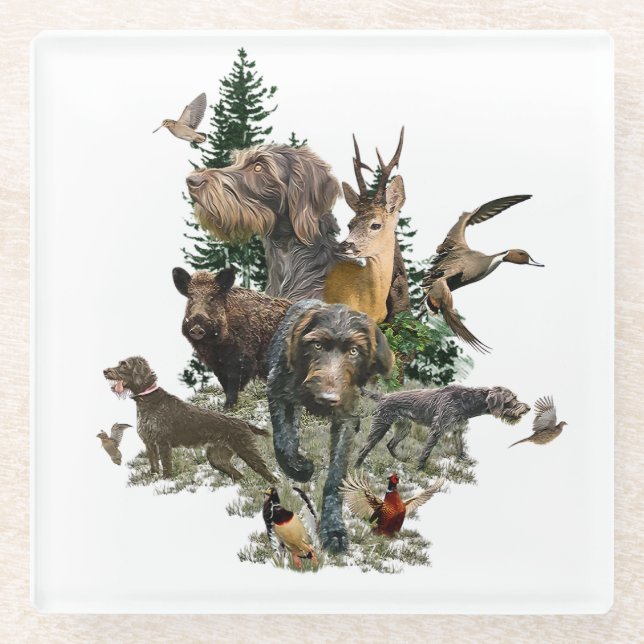 German Wirehaired Pointer   Glass Coaster (Front)