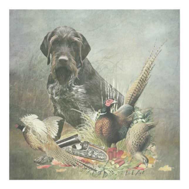 German Wirehaired Pointer   Photo Print (Front)