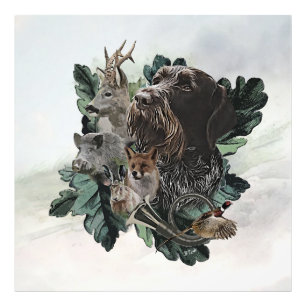 German Wirehaired Pointer Photo Print