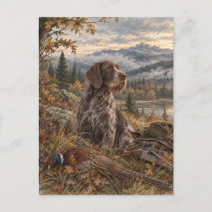 German Wirehaired Pointer Postcard