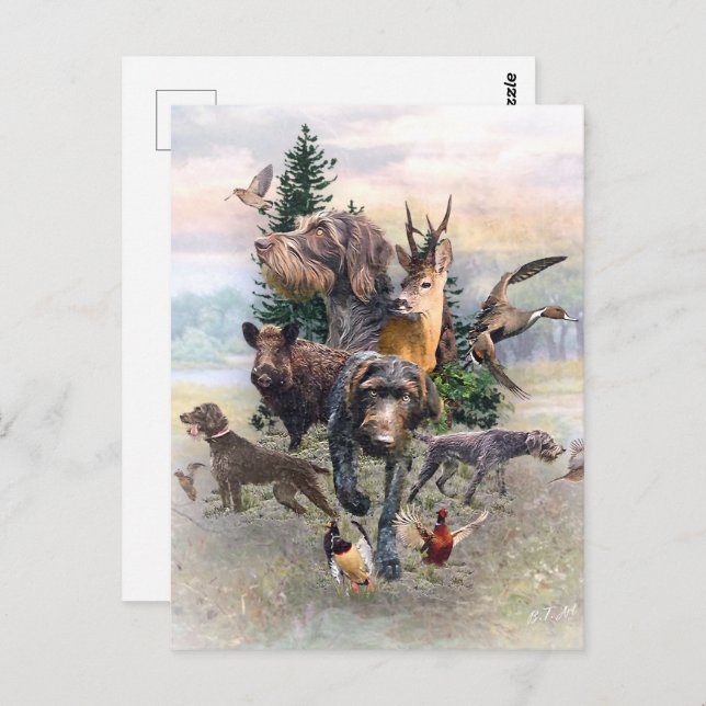 German Wirehaired Pointer   Postcard (Front/Back)