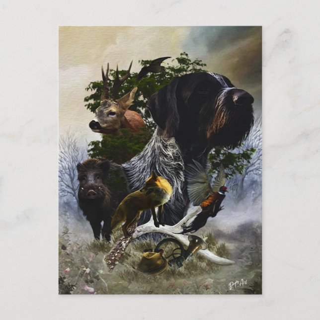  German Wirehaired Pointer     Postcard (Front)