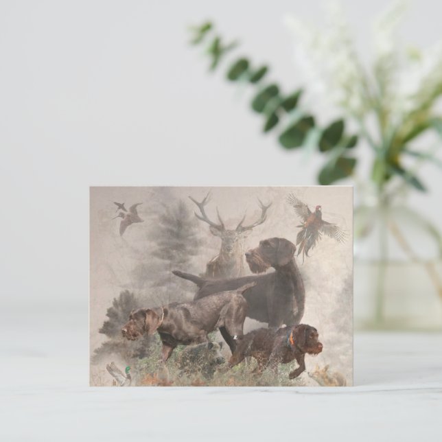  German Wirehaired Pointer     Postcard (Standing Front)