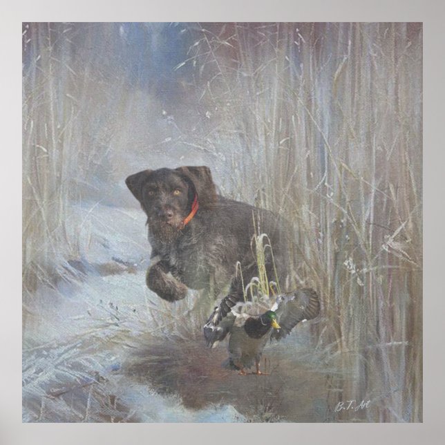  German Wirehaired Pointer Poster (Front)