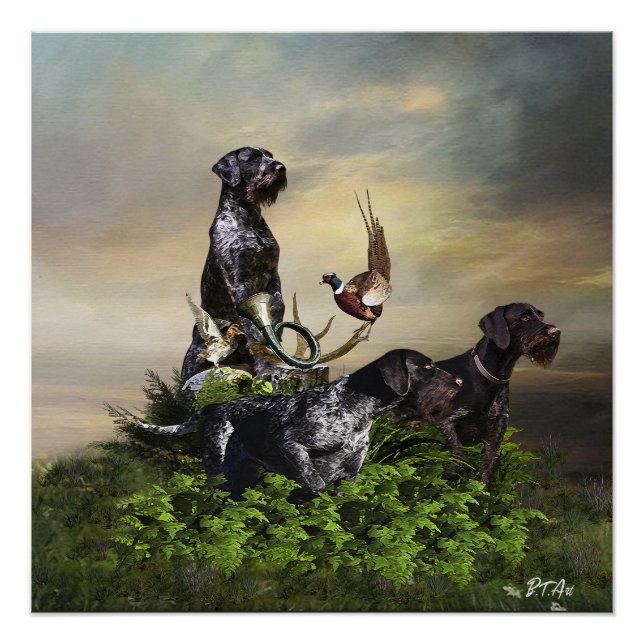  German Wirehaired Pointer    Poster (Front)