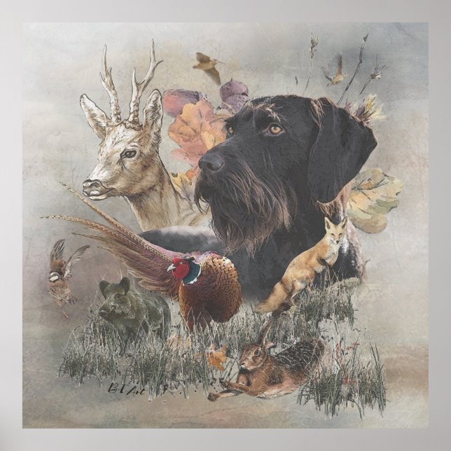 German Wirehaired Pointer    Poster (Front)