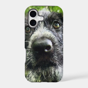 German Wirehaired Pointer Puppy Phone Case