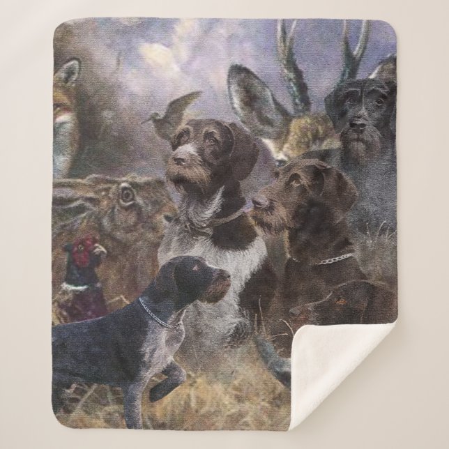  German Wirehaired Pointer Sherpa Blanket (Front)