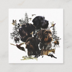  German Wirehaired Pointer     Square Business Card