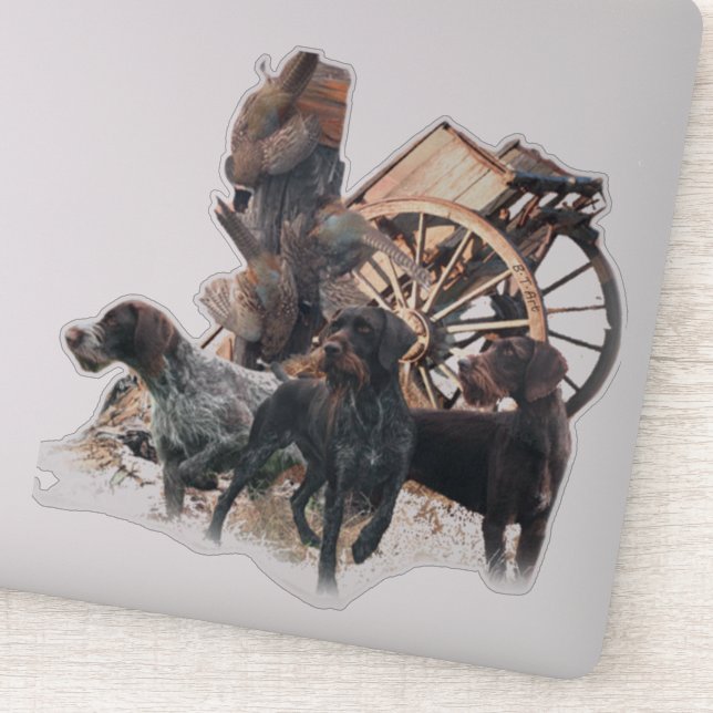 German Wirehaired Pointer  sticker (Detail)