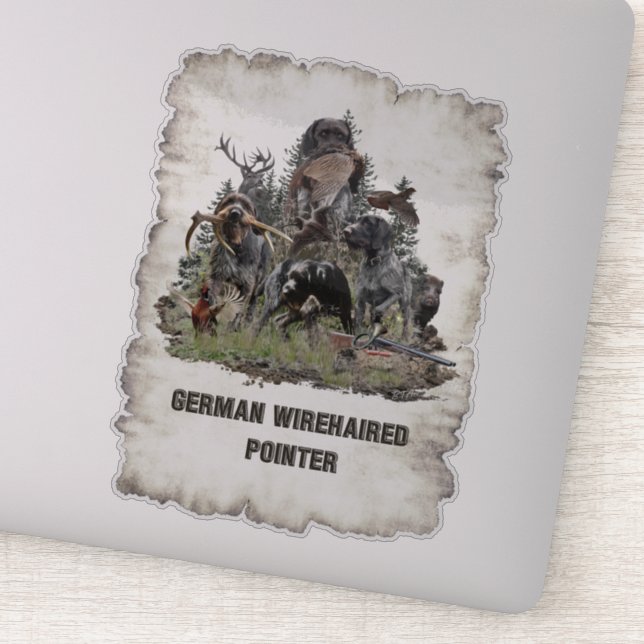 German Wirehaired Pointer       Sticker (Detail)