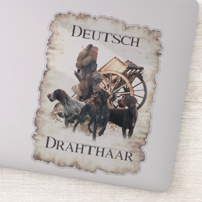 German Wirehaired Pointer  sticker (Detail)