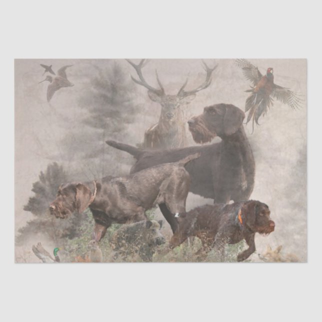  German Wirehaired Pointer     Tissue Paper (Front)