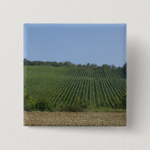 Germany, Franconia, Rothenburg. View along the 15 Cm Square Badge