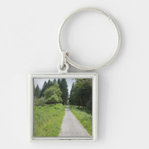 Germany, Thuringia, path in forest Key Ring